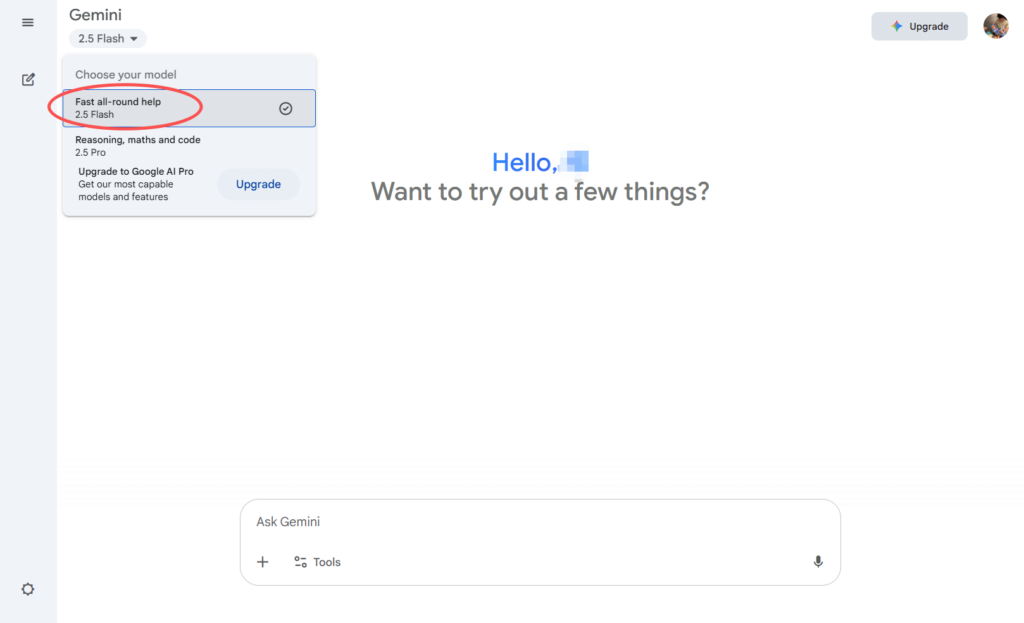choose 2.5 Flash on Google Gemini